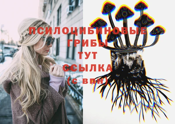 метадон Бородино