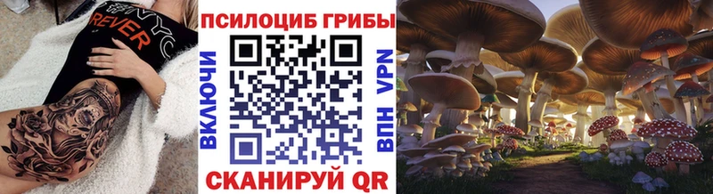 Псилоцибиновые грибы ЛСД  KRAKEN ONION  Прокопьевск 